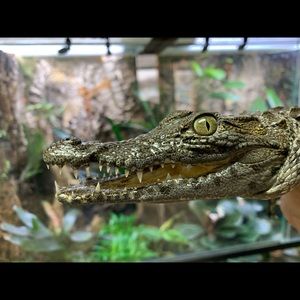 Meet your Posher, Brenna